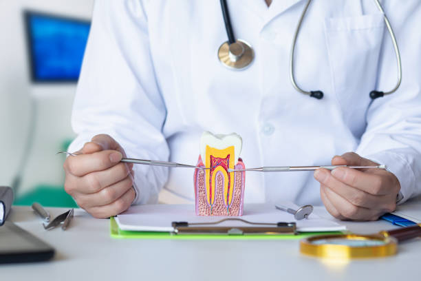 Best Broken or Chipped Tooth Repair in North Plymouth, MA